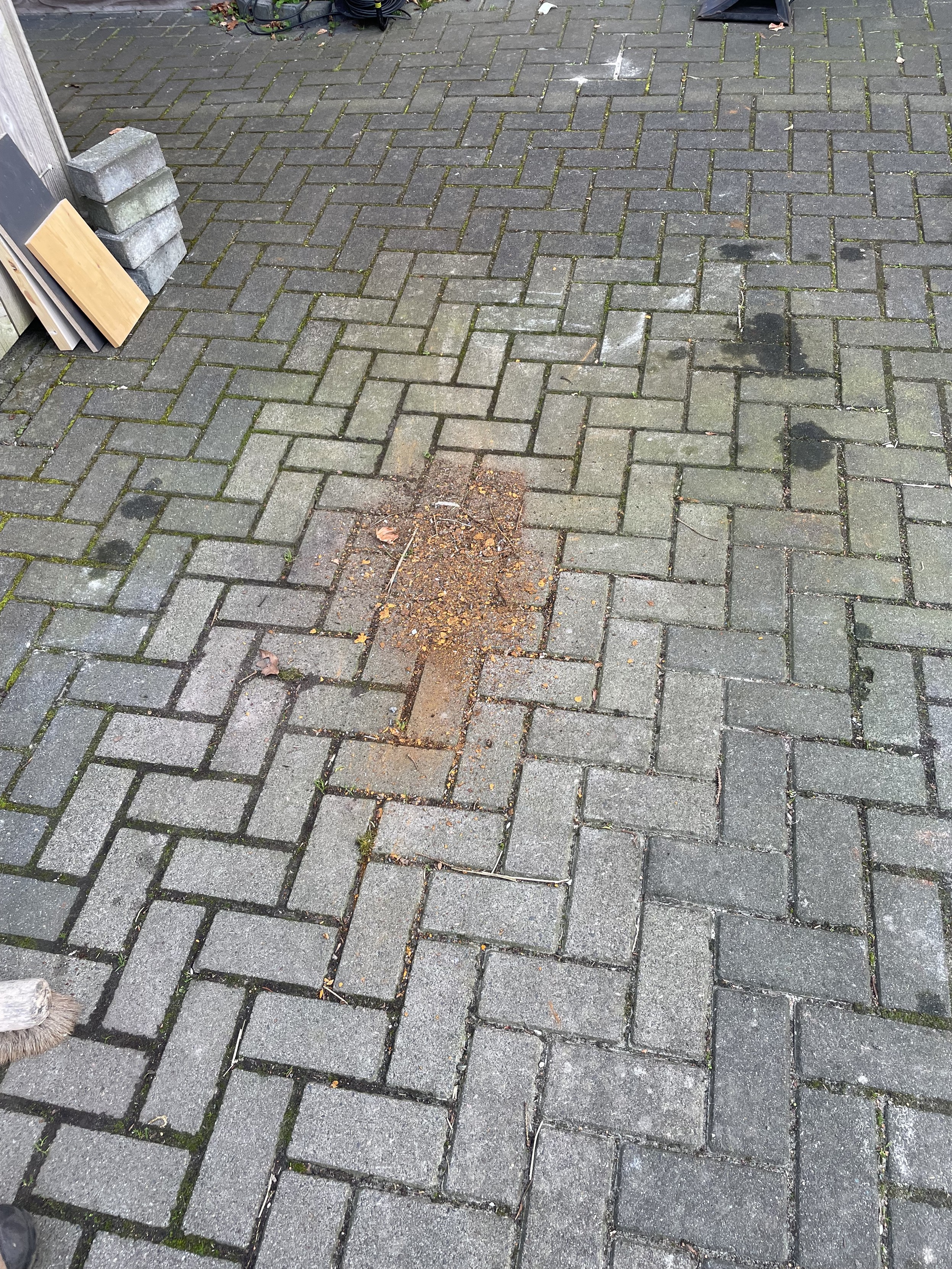 Some of the rust swept together on the ground.
