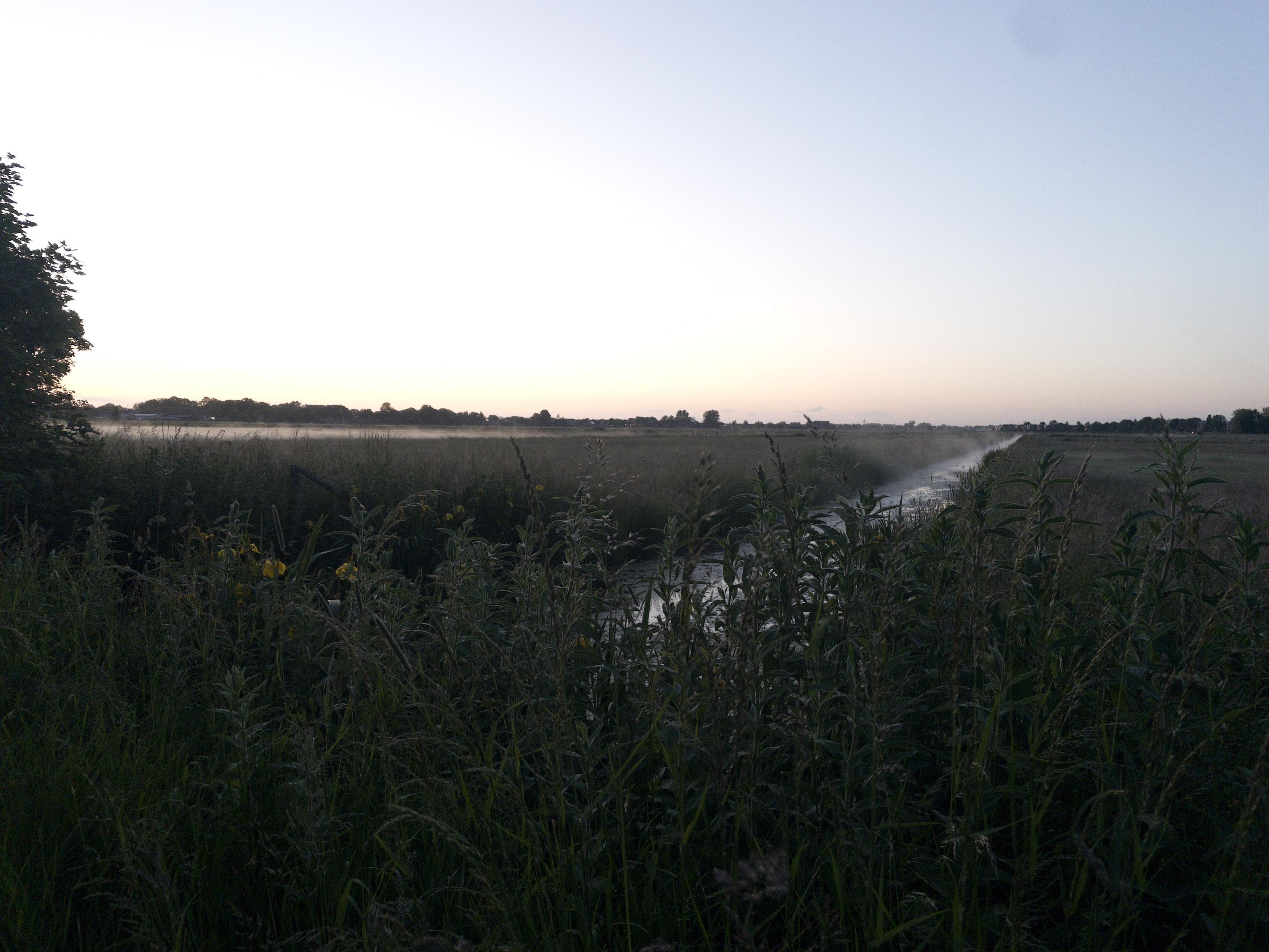 Looking over a field and a ditch between fields. Fog is floating up from the fields and the ditch. 