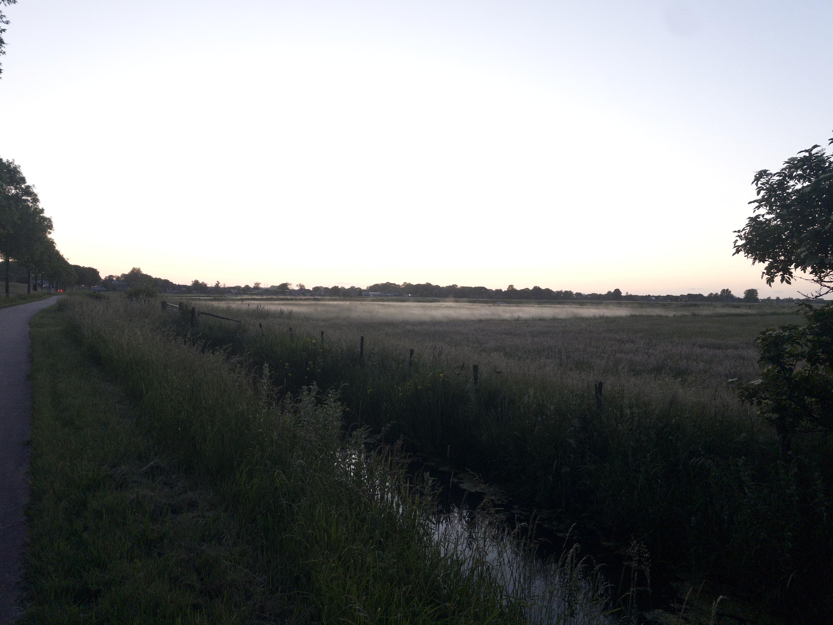 More fog over a field. 