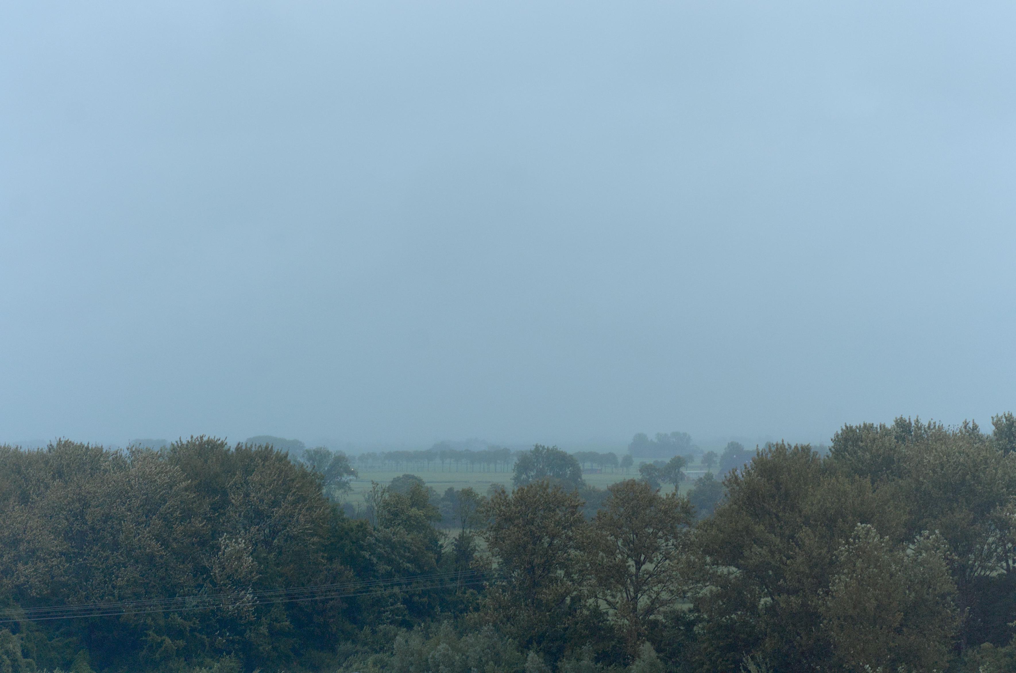 It looks dreadful and beautiful at the same time. Trees in the middle-foreground through a slight haze behind which multiple layers of North-Groningen landscape dissolve into the grey-blue sky. 