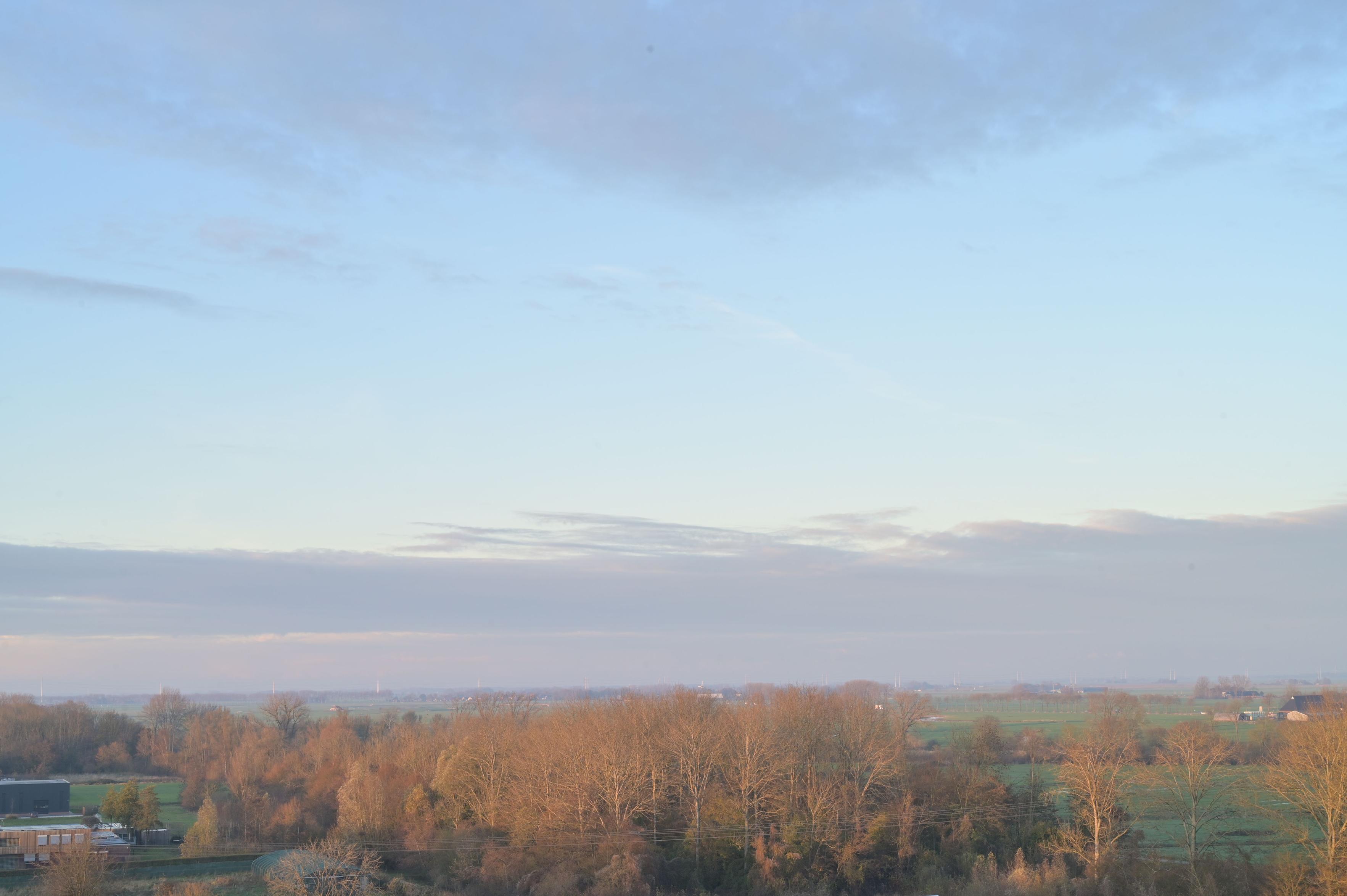 The sunlight hits trees lining the campus, and we overlook the North-Groningen landscape.