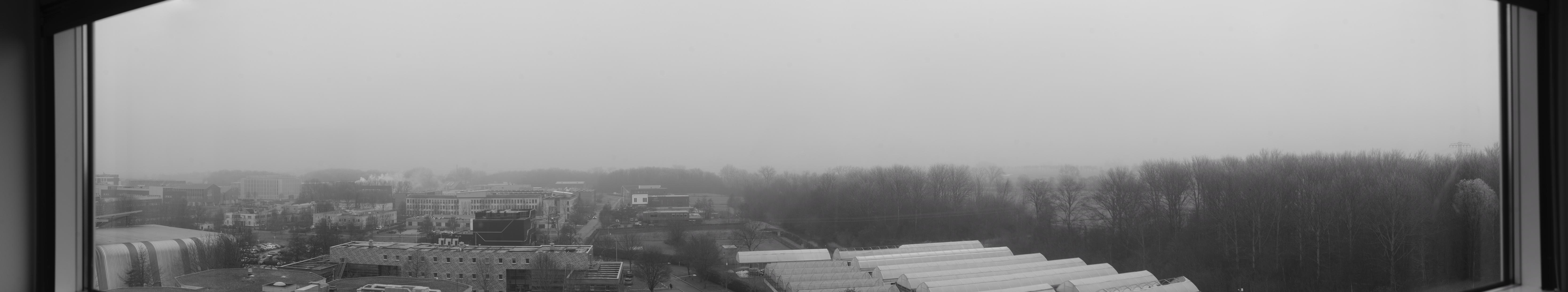 A black-and-white panorama looking out from my desk at uni. You see a campus expanding into the left and greenhouses and some woods to the right. The North Groningen landscape expands into the distance but it is hazy.