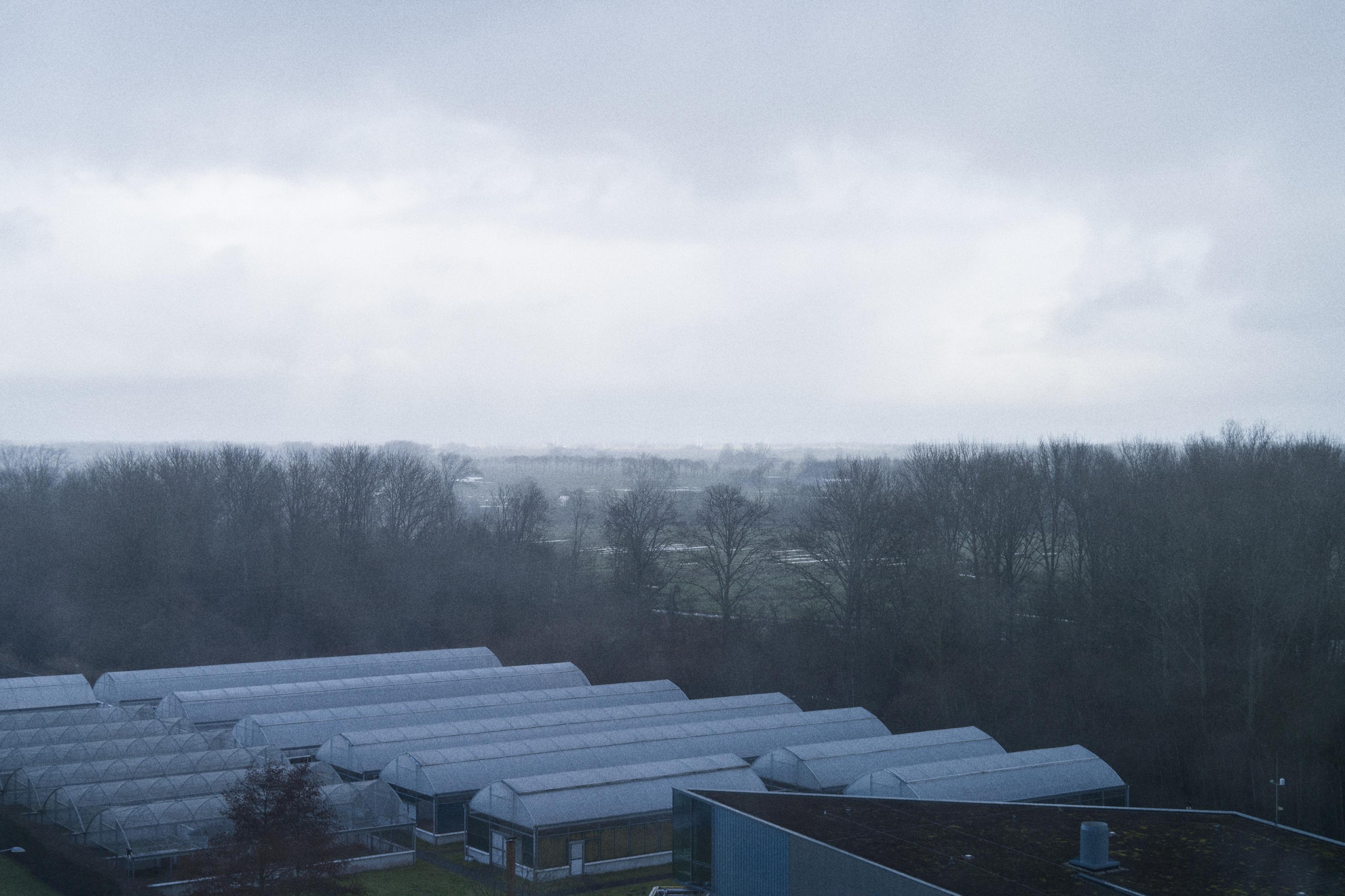 The world is grey and bluish, moody, but in the distance is light and the clouds break, while the foreground is very dark.