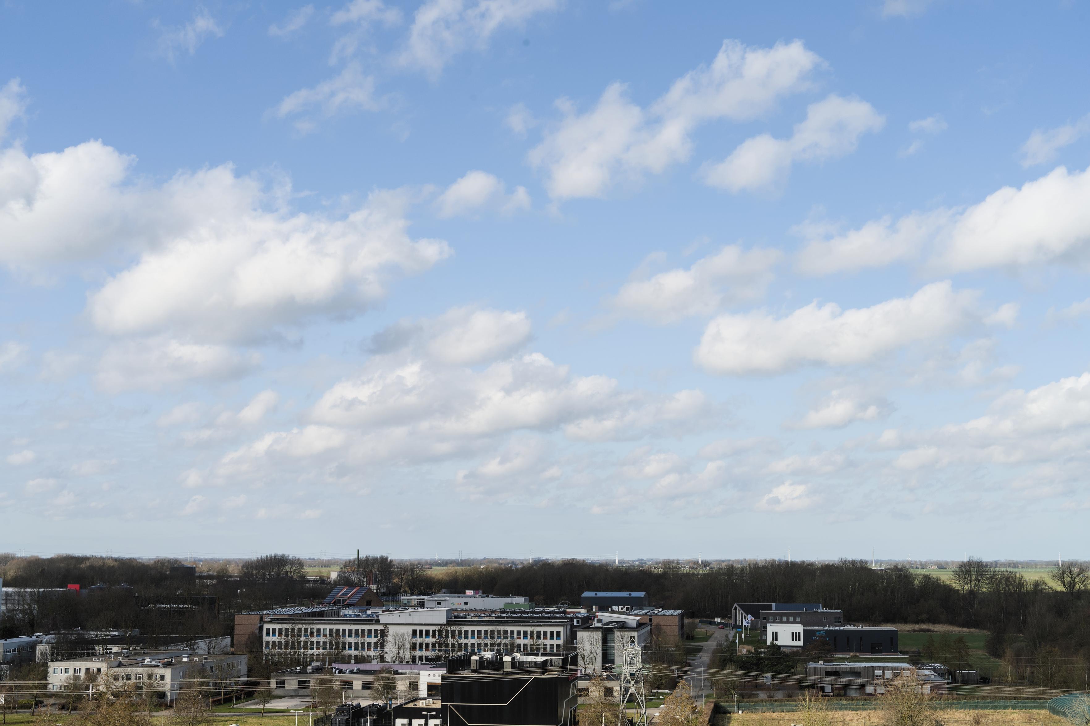 North-Groningen landscape behind a university campus with fluffy white clouds on a crisp blue sky over still bare trees that are struck by sunlight still low on the ground.