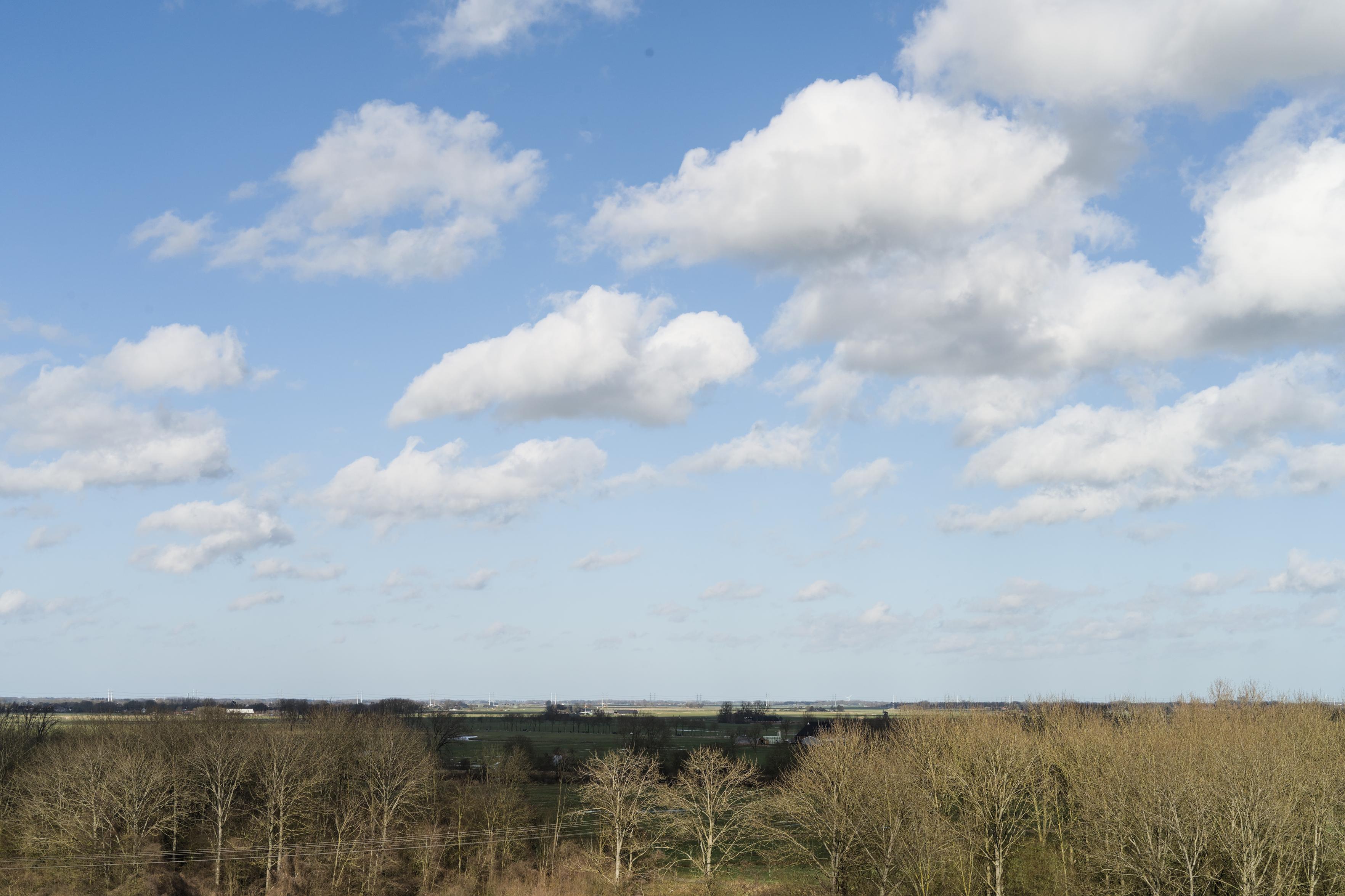 North-Groningen landscape with fluffy white clouds on a crisp blue sky over still bare trees that are struck by sunlight still low on the ground.