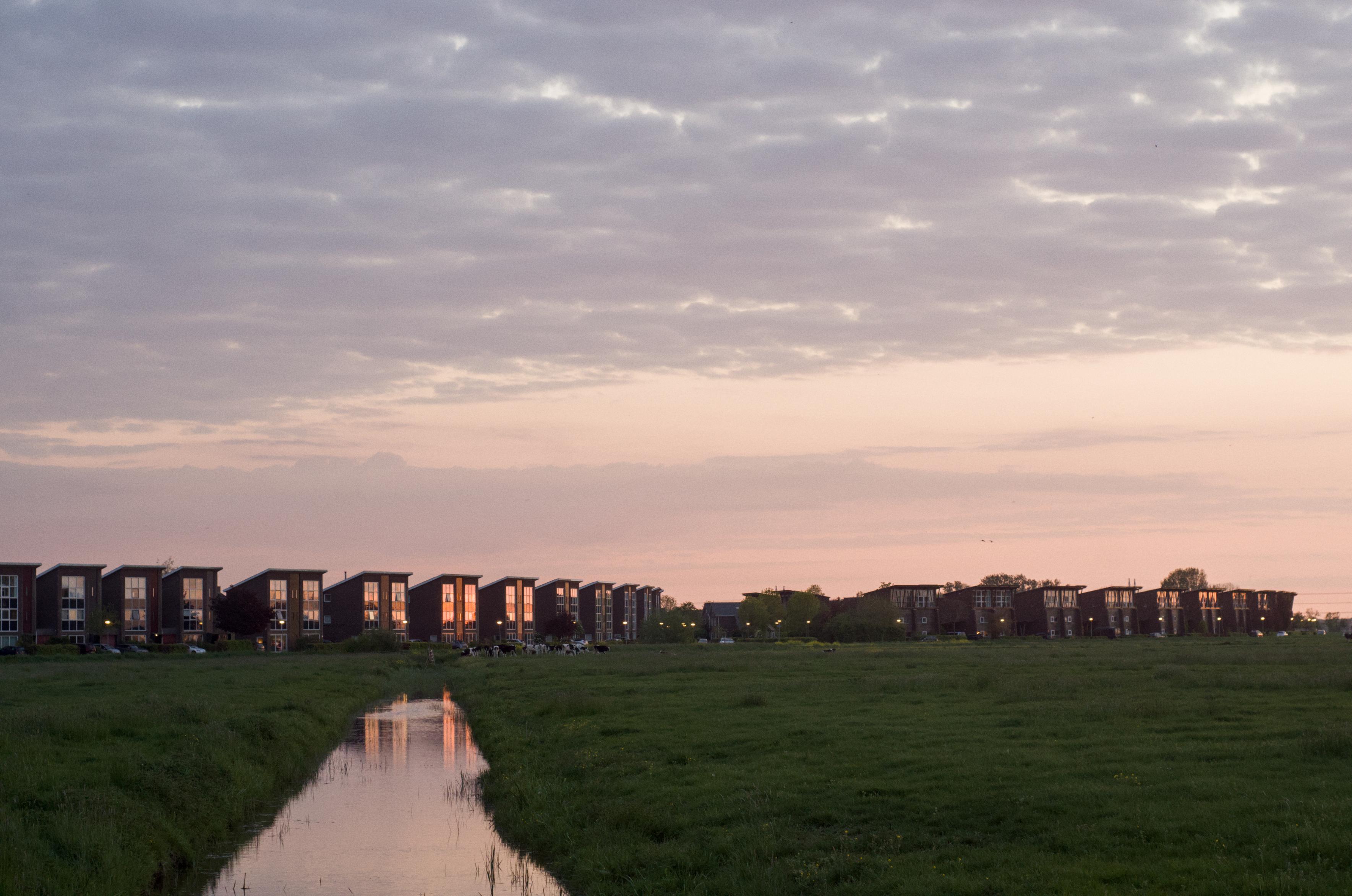 A row of houses seen from across a grass field reflect sunset light.